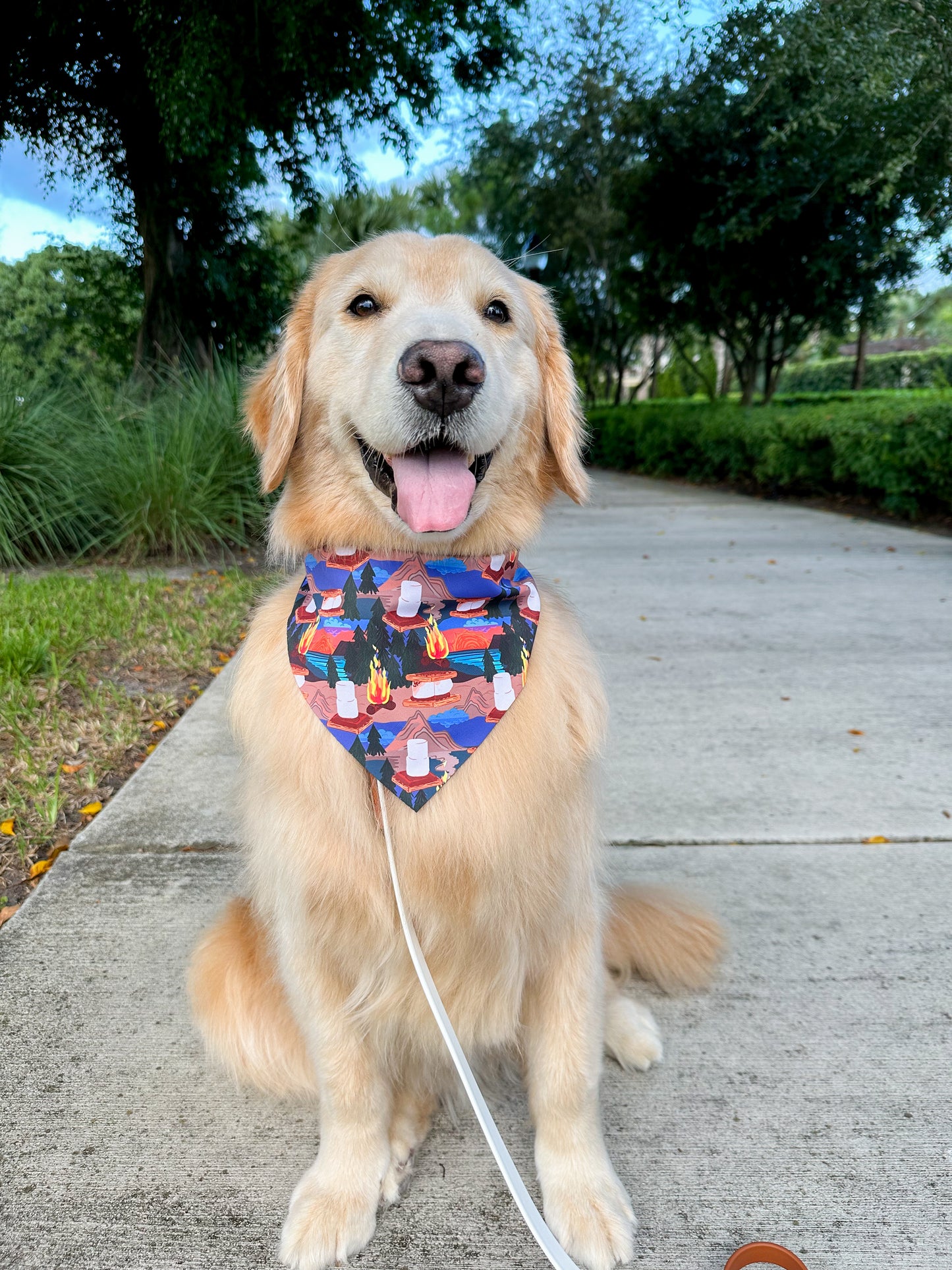 Bonfire S’mores Bandana