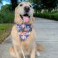 Bonfire S’mores Bandana