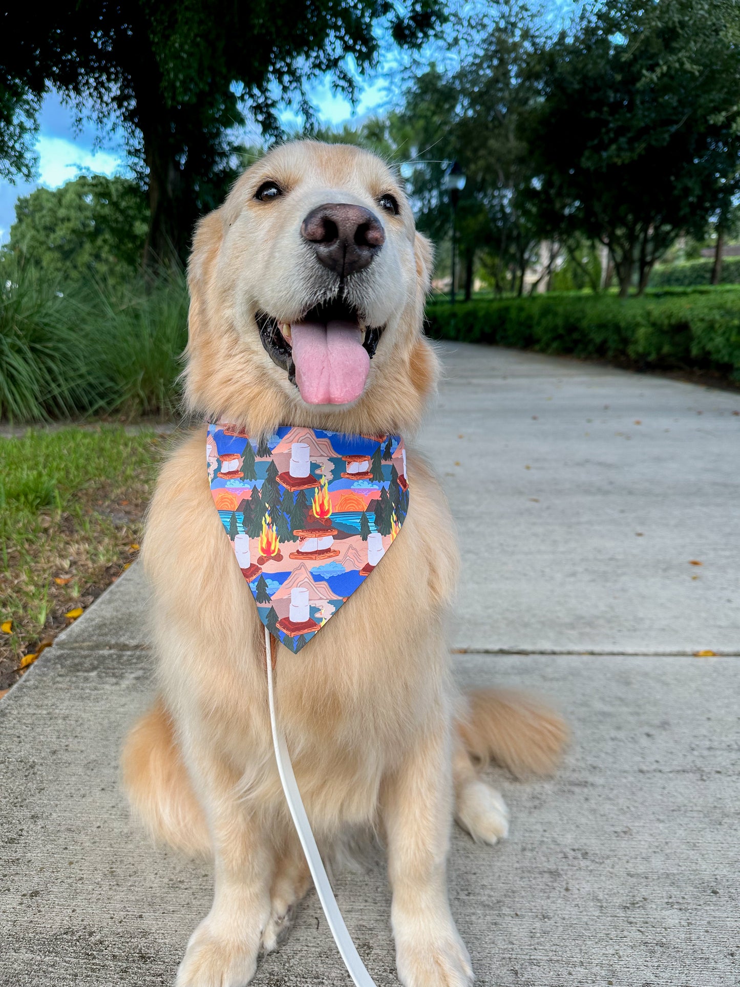Bonfire S’mores Bandana