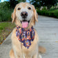 Halloween Stoops Bandana