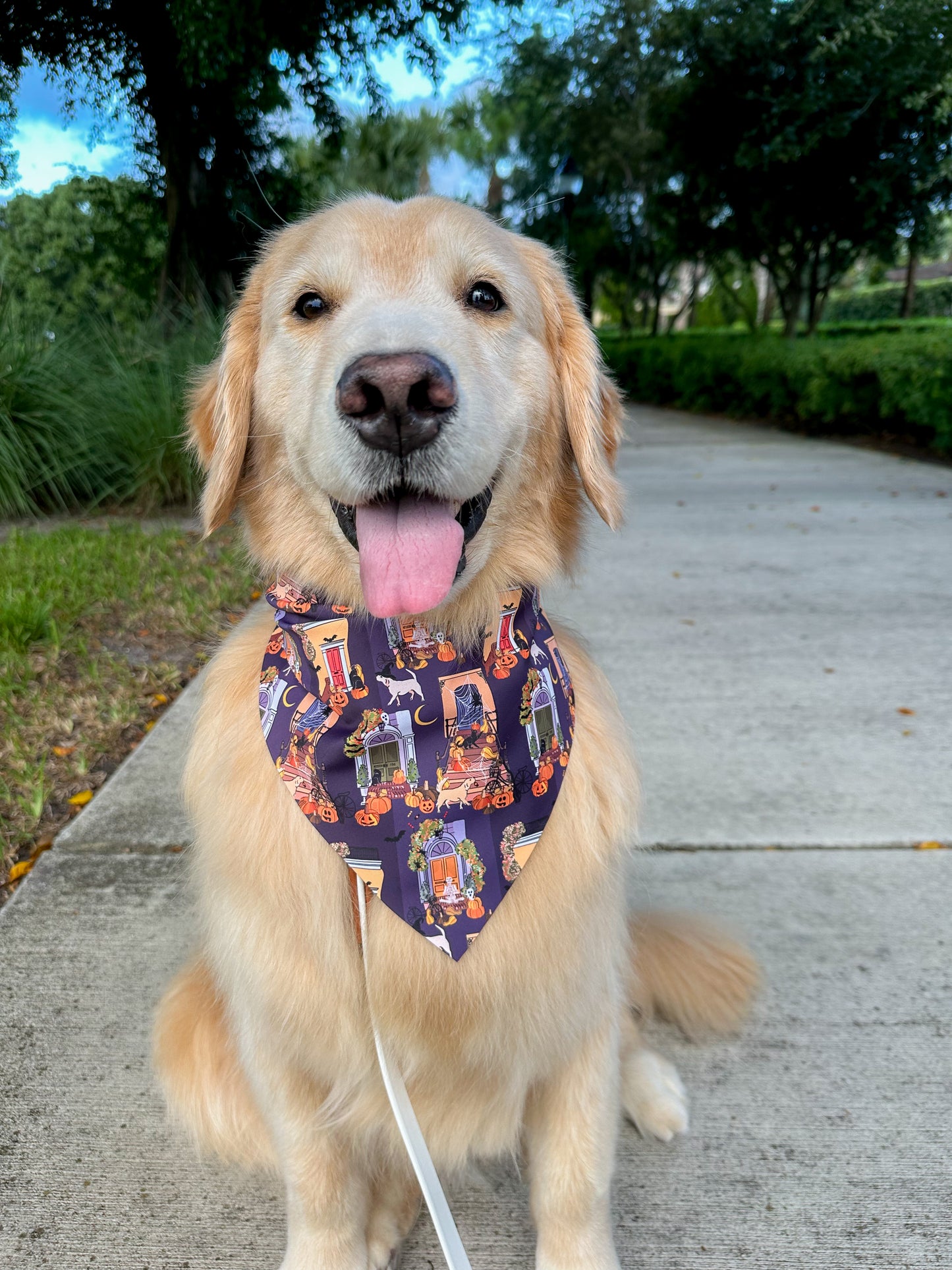 Halloween Stoops Bandana