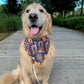 Fall Stoops Bandana