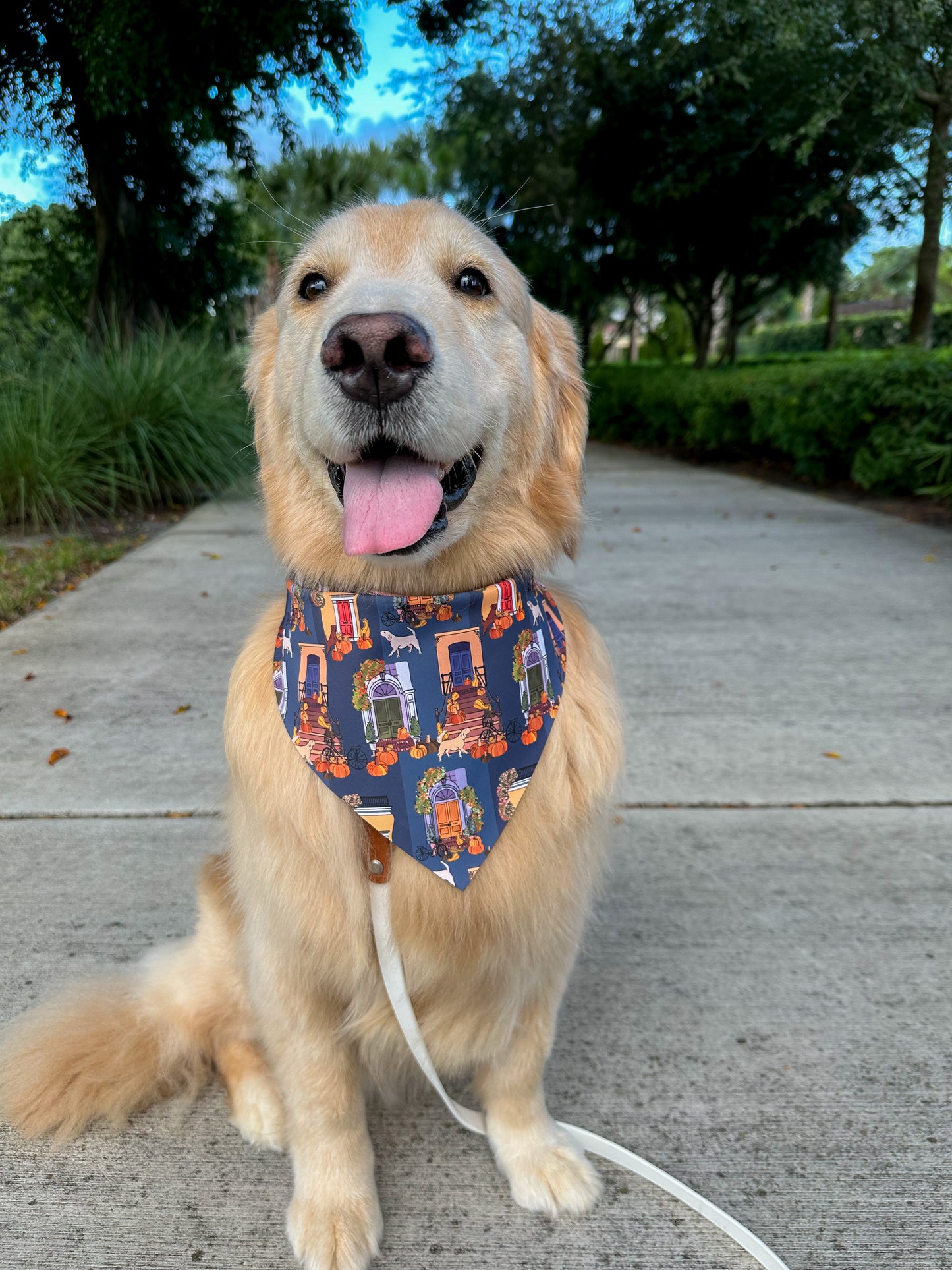 Fall Stoops Bandana