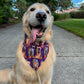 Halloween Stoops Bandana