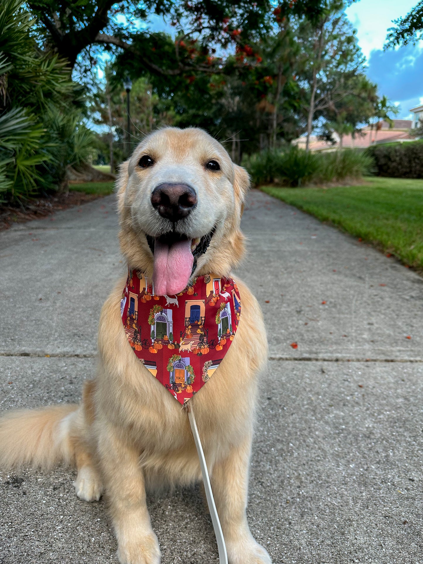 Fall Stoops Bandana