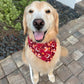 Wrens and Pinecones Bandana