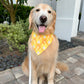 Pear Ikat Bandana