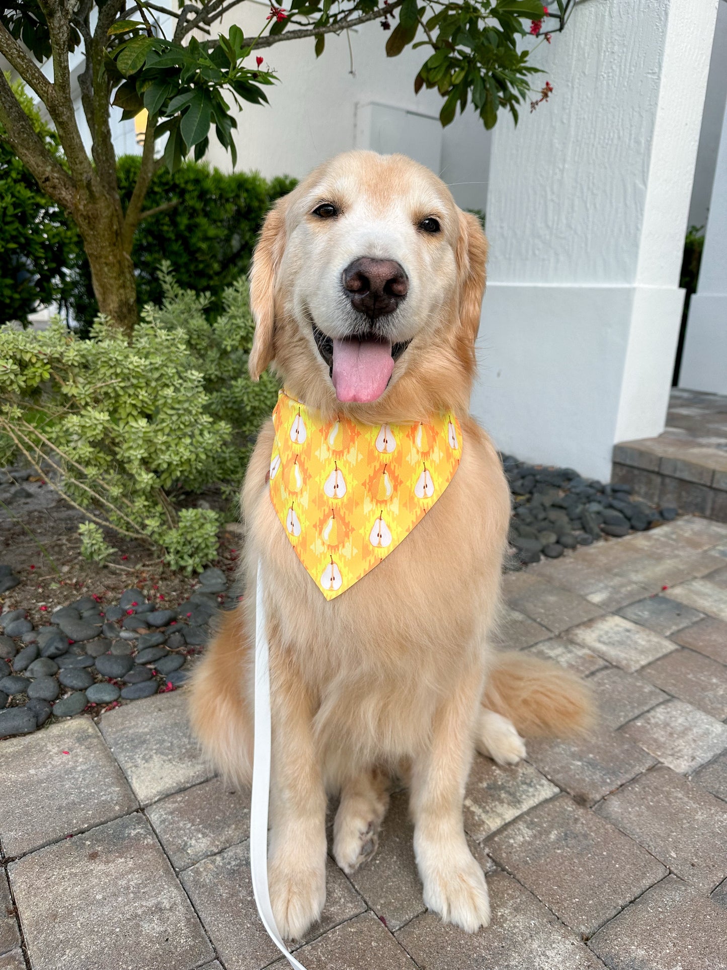 Pear Ikat Bandana