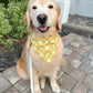 Pear Ikat Bandana