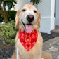 Croissant Ikat Bandana