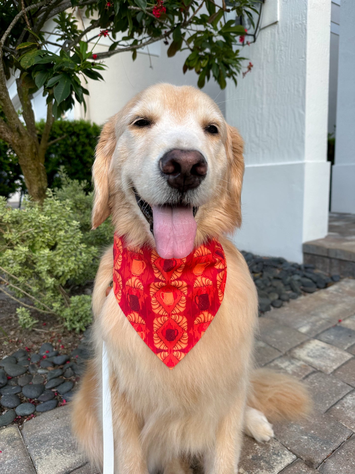 Croissant Ikat Bandana