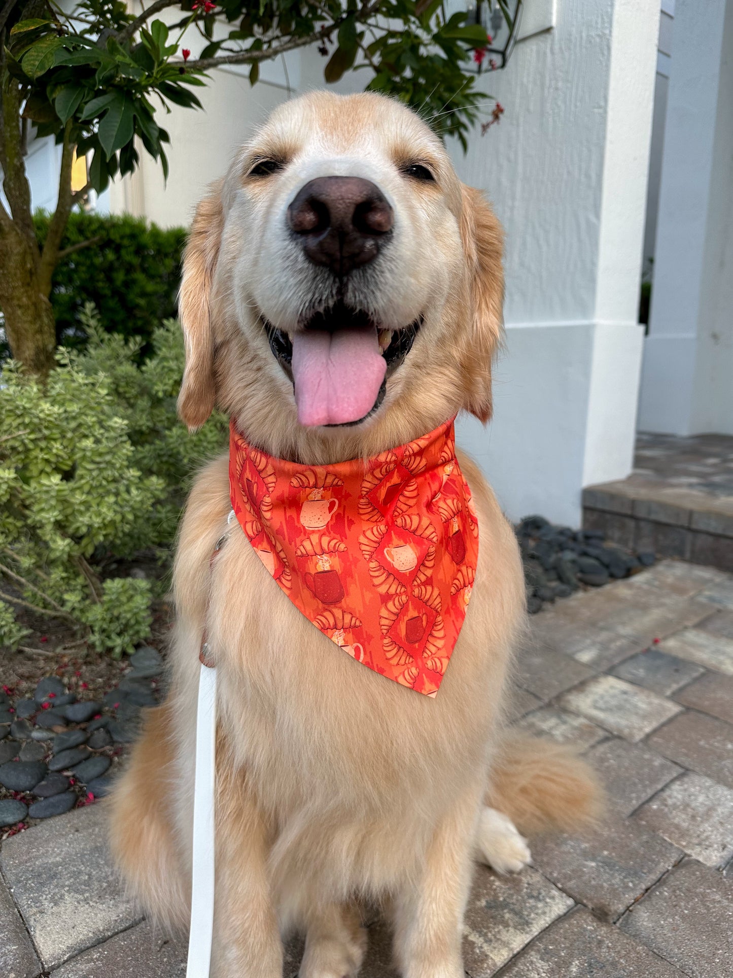 Croissant Ikat Bandana