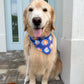 Goodnight Moon Bandana