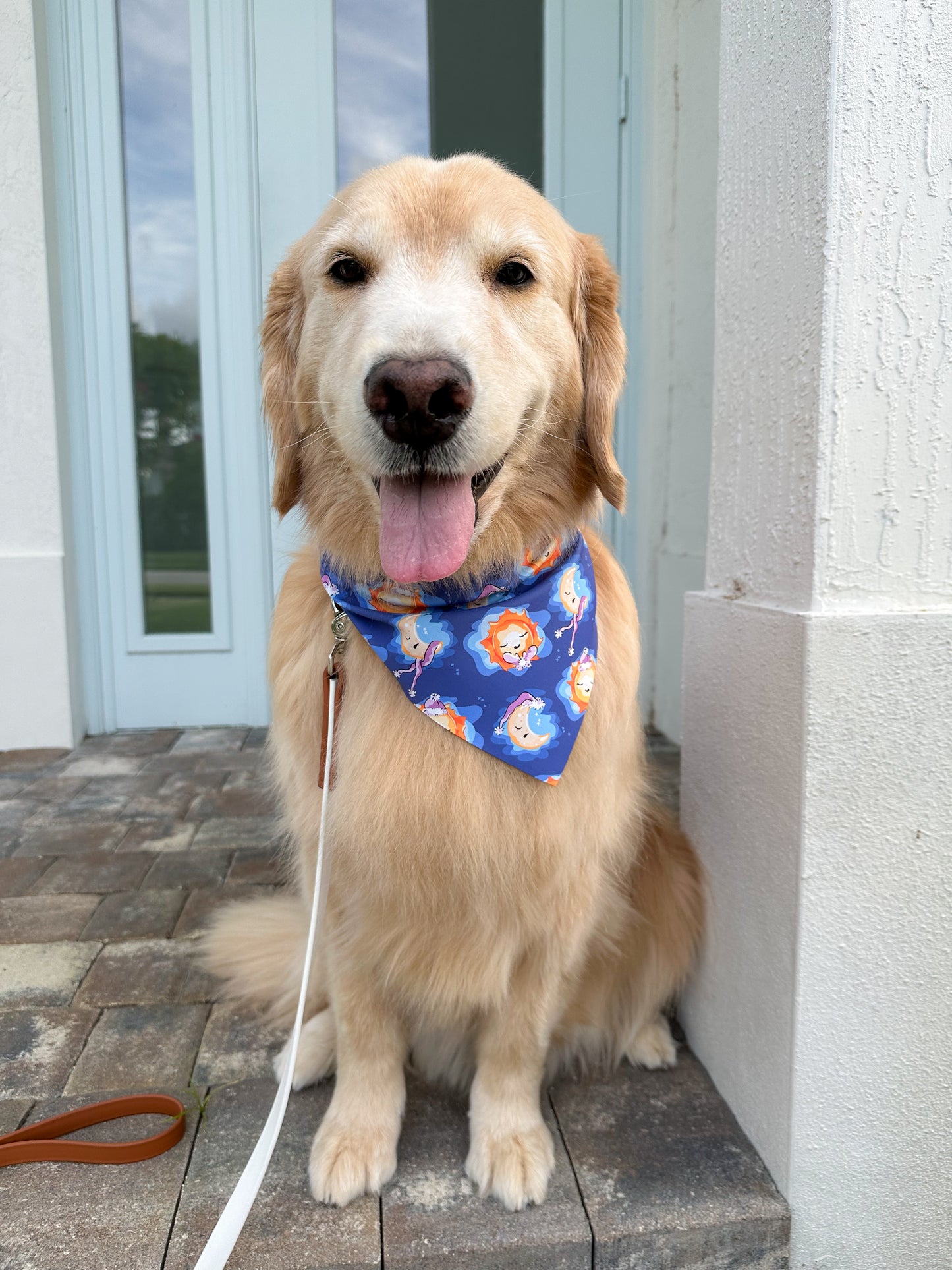 Goodnight Moon Bandana