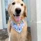 Goodnight Moon Bandana