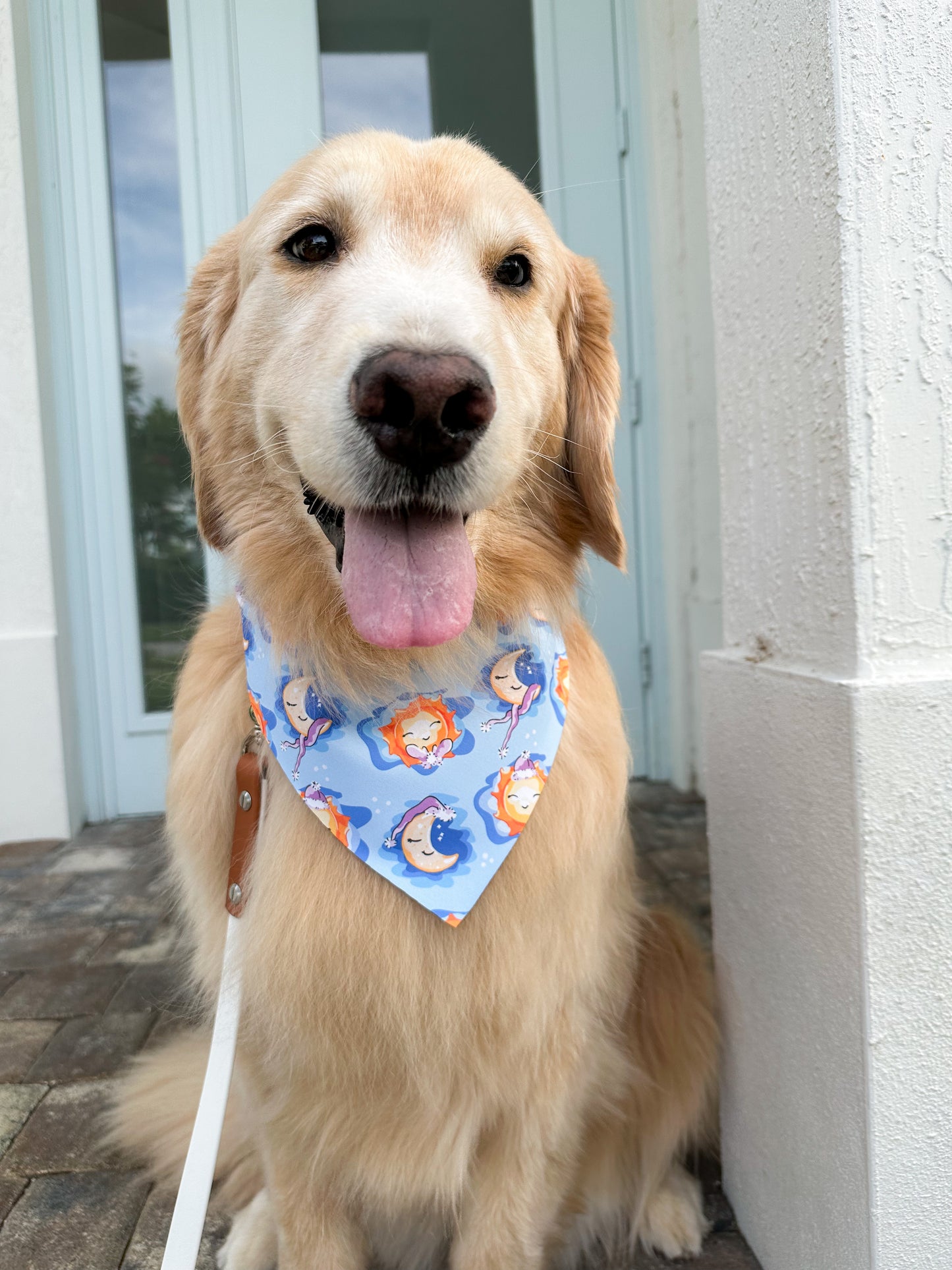 Goodnight Moon Bandana