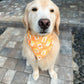 Seed Packets Bandana
