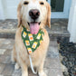 Seed Packets Bandana