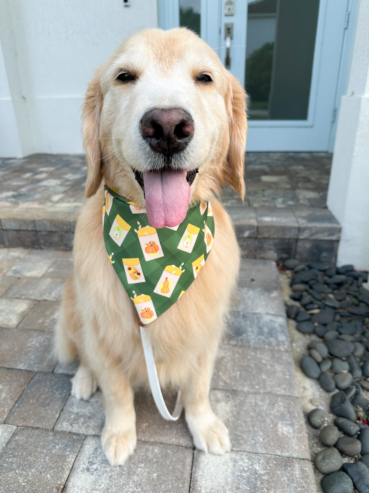 Seed Packets Bandana