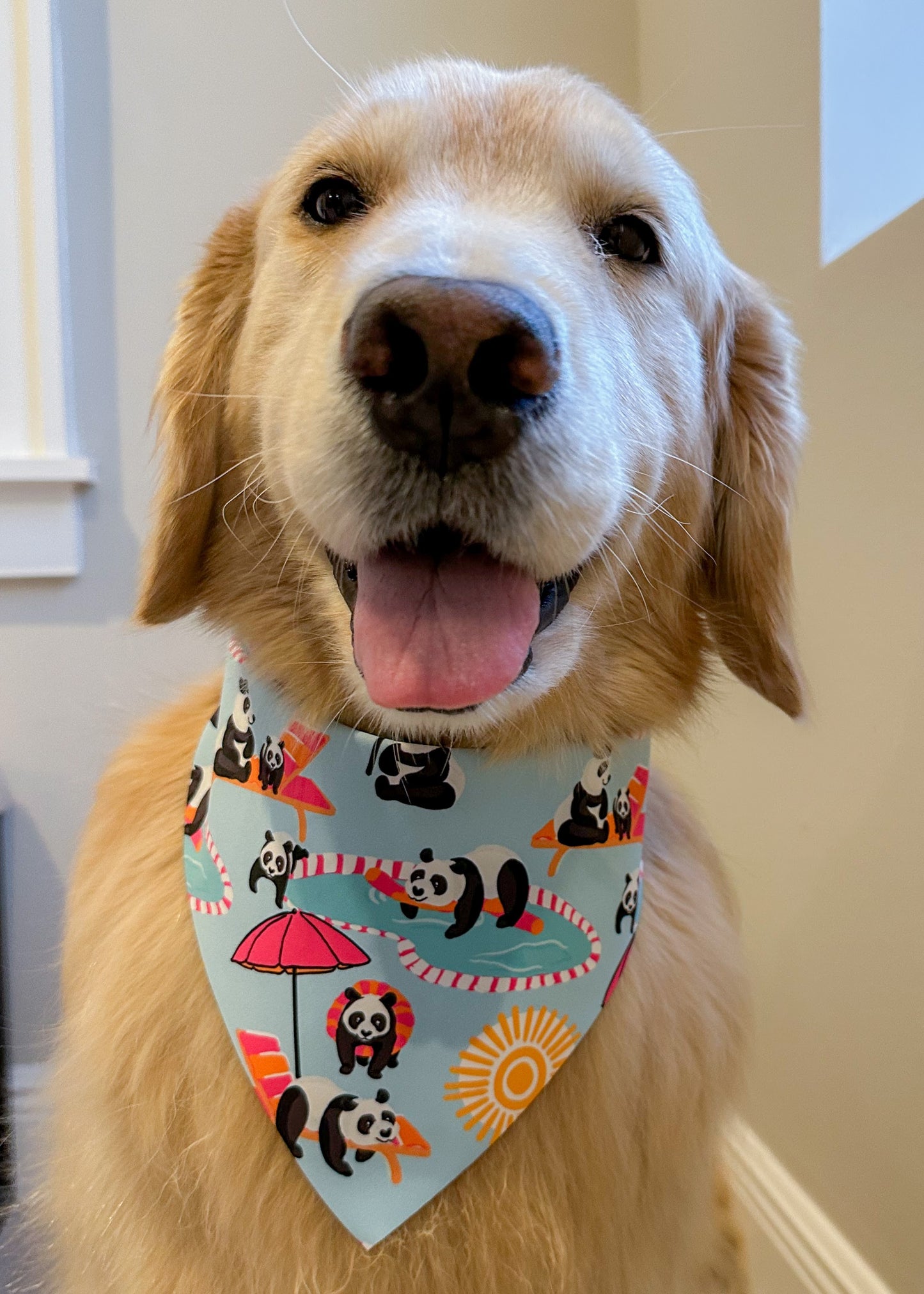 Poolside Pandas Bandana