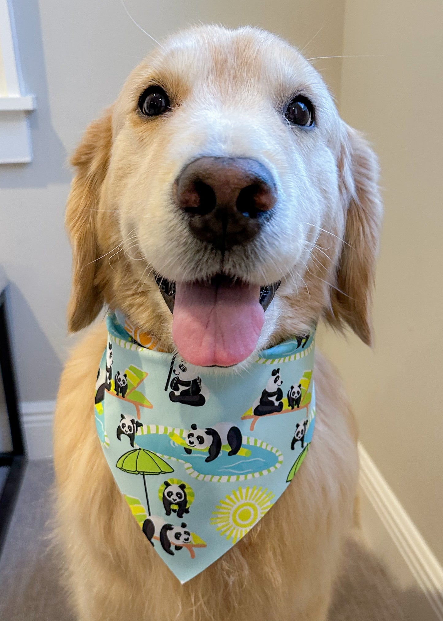 Poolside Pandas Bandana