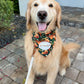 Pawsgiving Thanks Bandana
