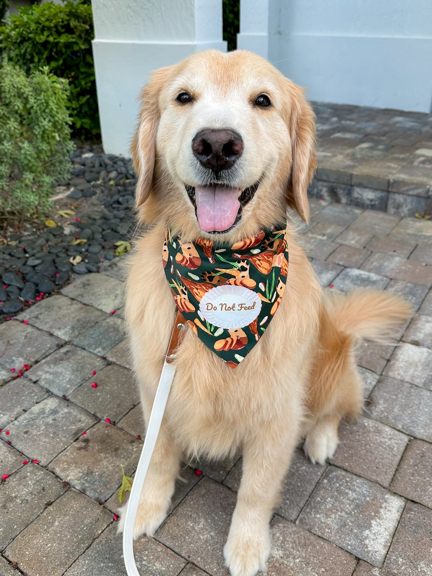 Pawsgiving Thanks Bandana