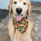 Pawsgiving Thanks Bandana