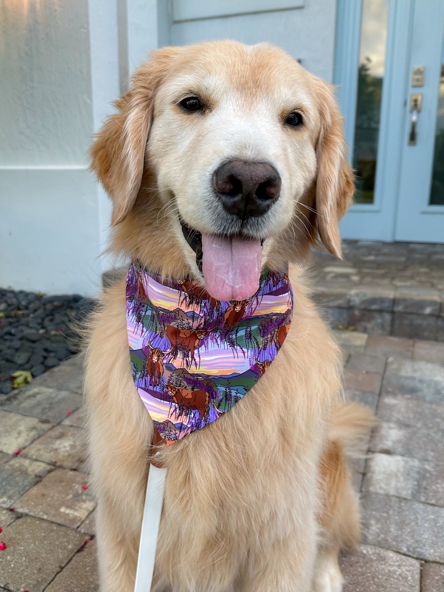 Highland Heather Bandana