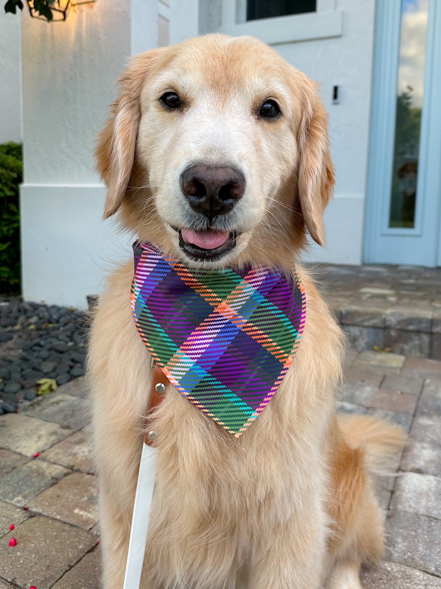 Highland Heather Bandana