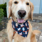Muddy Puppies Bandana