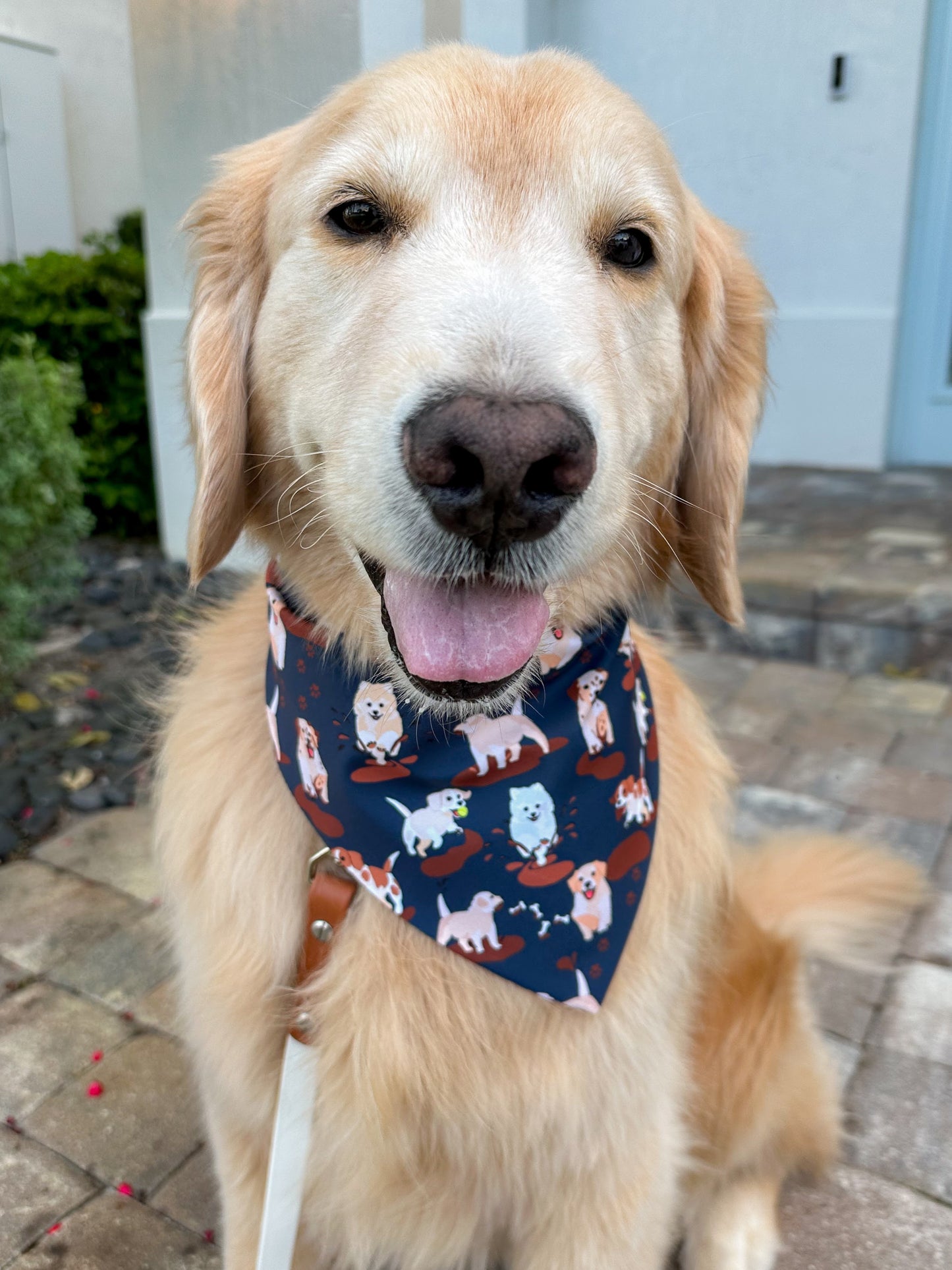 Muddy Puppies Bandana