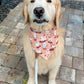 Muddy Puppies Bandana