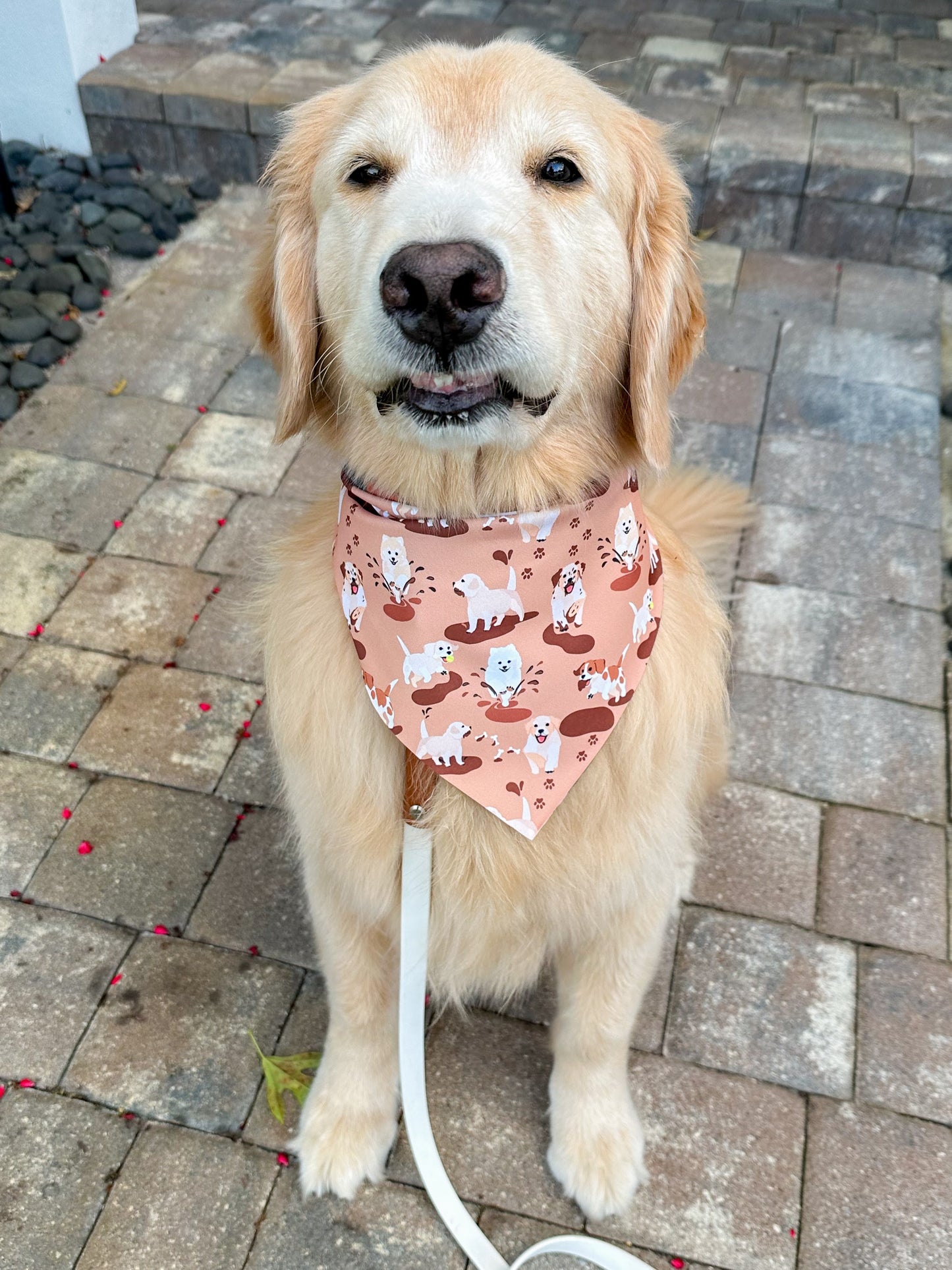 Muddy Puppies Bandana