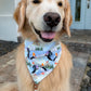Puffins Bandana