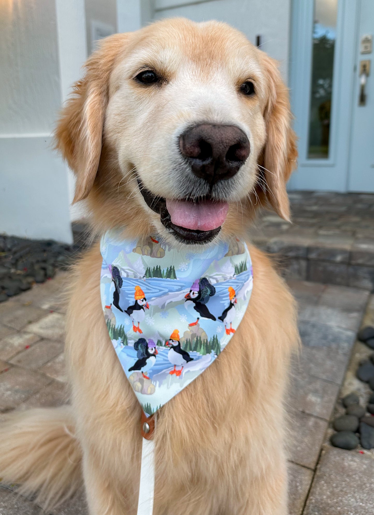 Puffins Bandana