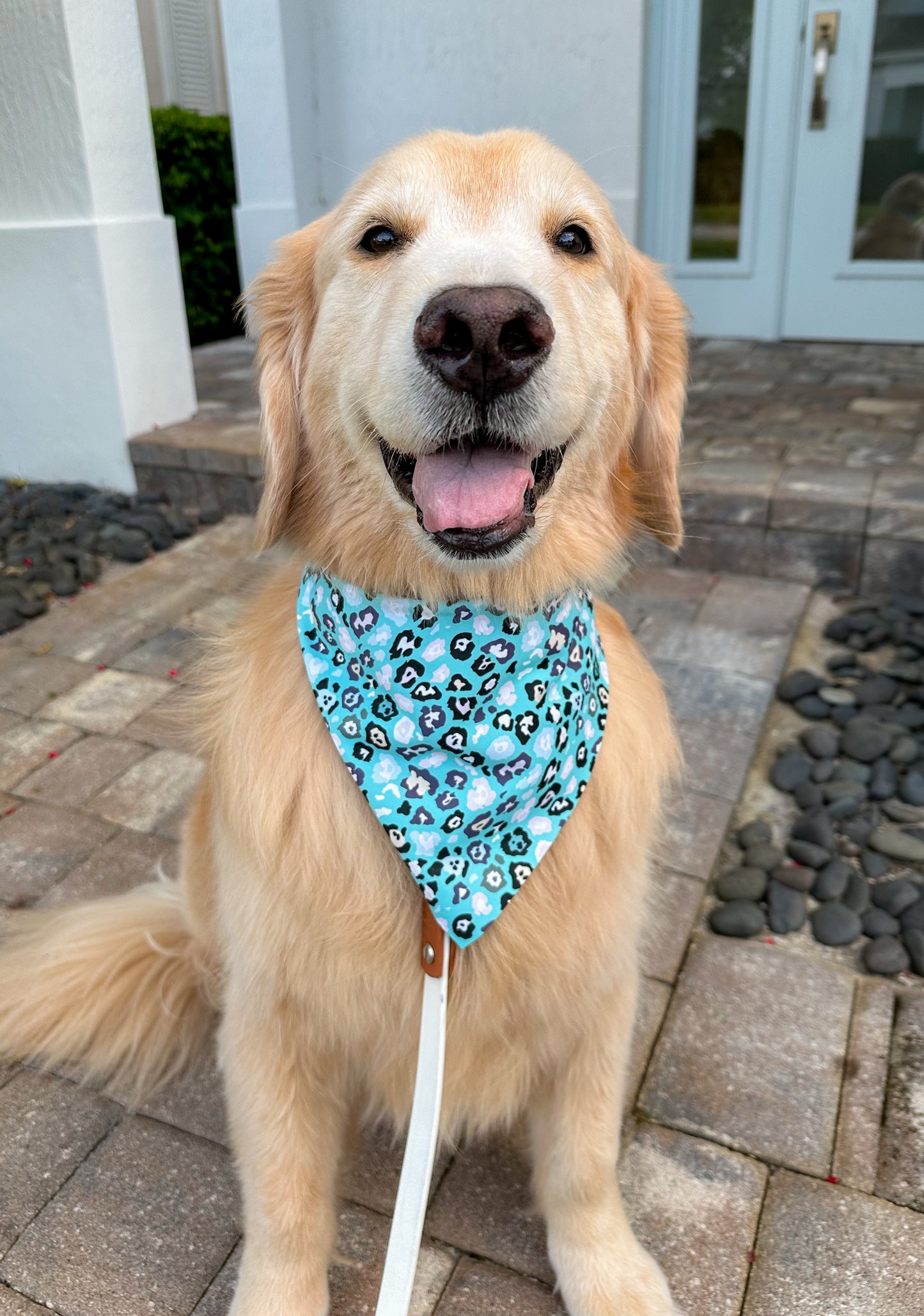 Snow Leopards Bandana