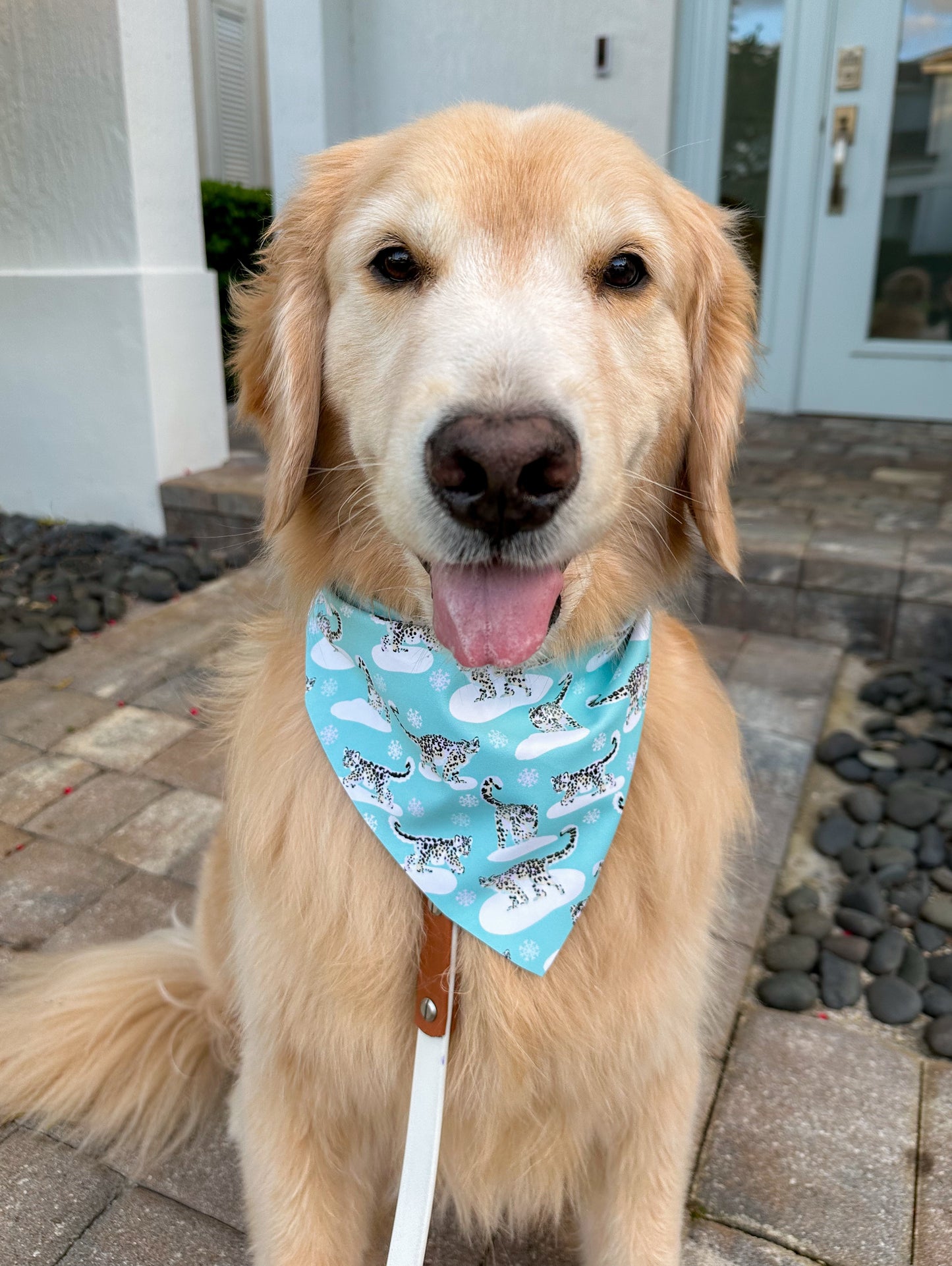Snow Leopards Bandana