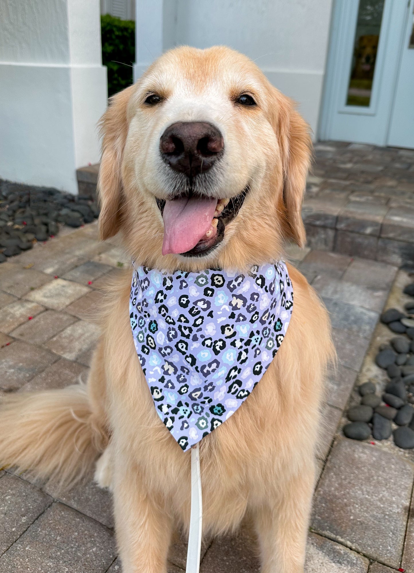 Snow Leopards Bandana