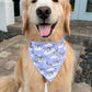 Snow Leopards Bandana