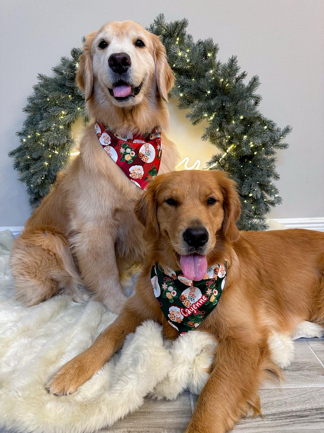 Fancy Cookie Plates Bandana