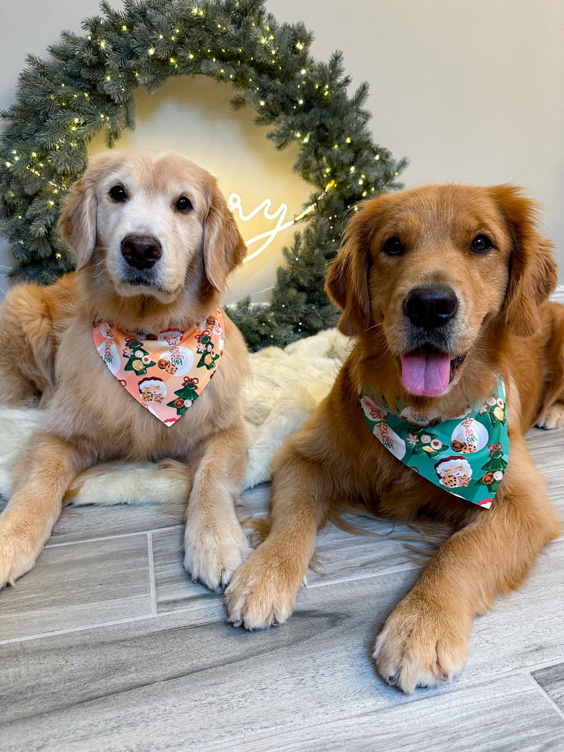 Fancy Cookie Plates Bandana