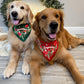 Luau Christmas Bandana