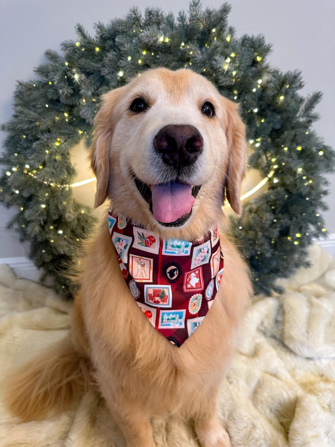 Holiday Gallery Wall Bandana