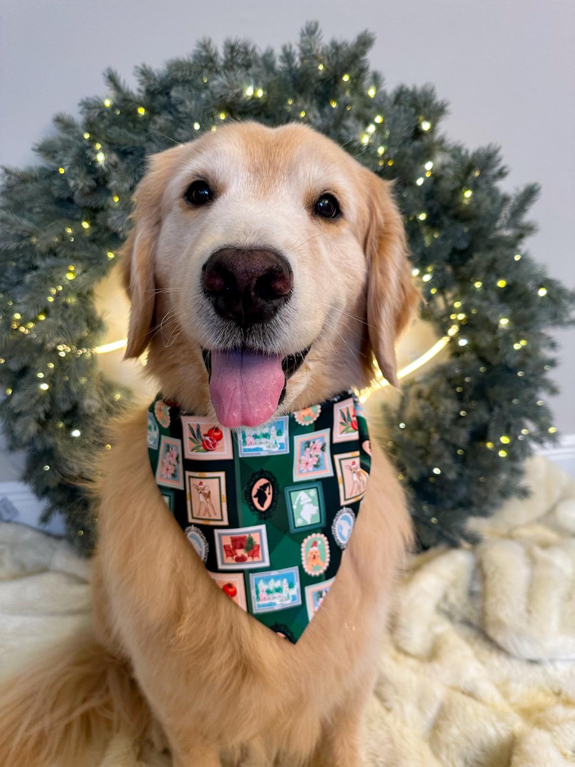 Holiday Gallery Wall Bandana