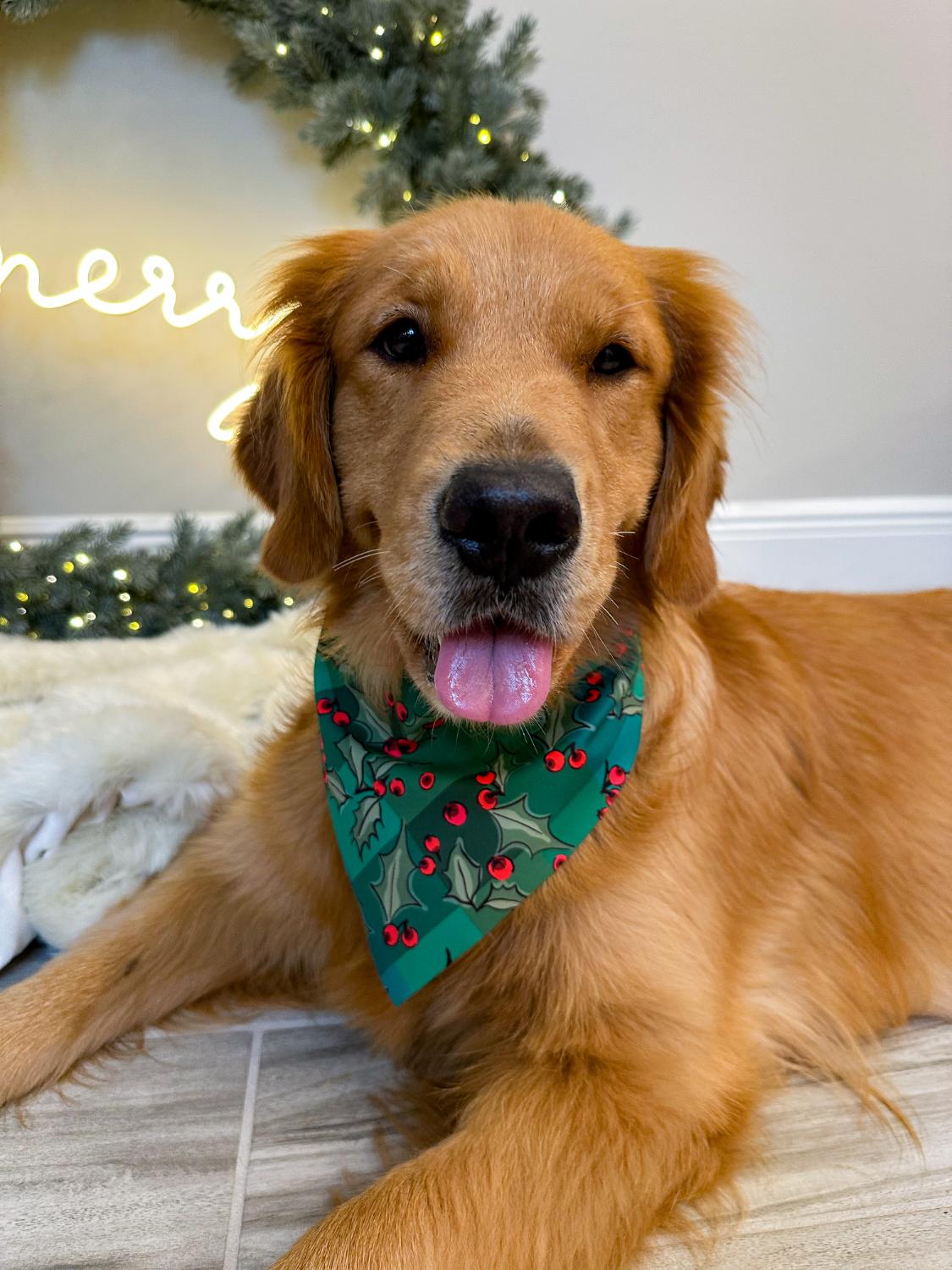 Winter Holly Berries Bandana