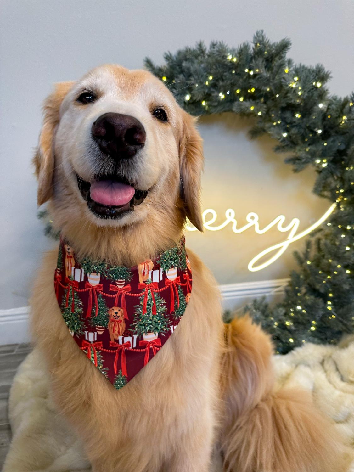 Ribbons and Trees Bandana