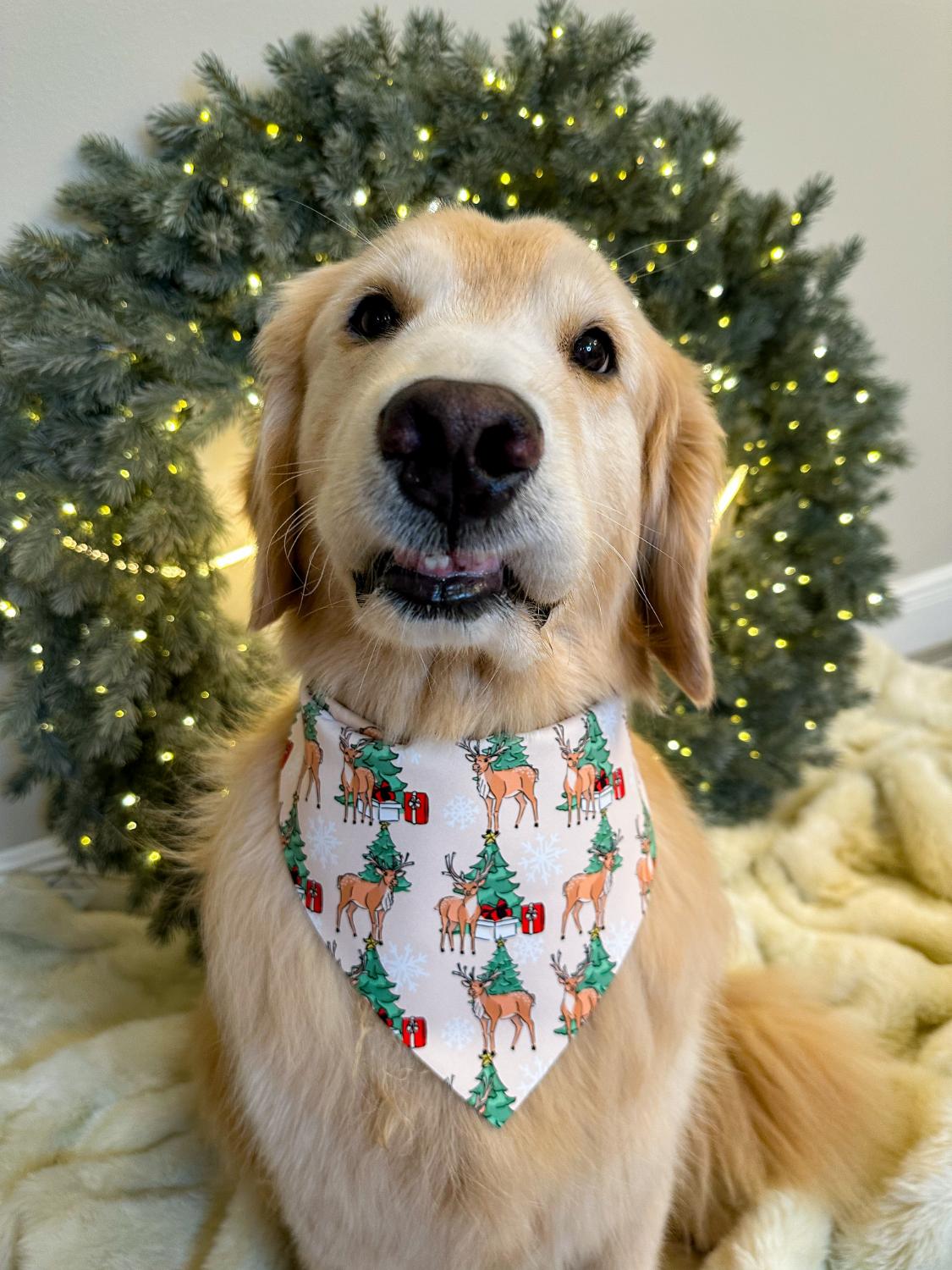 Reindeer Bandana