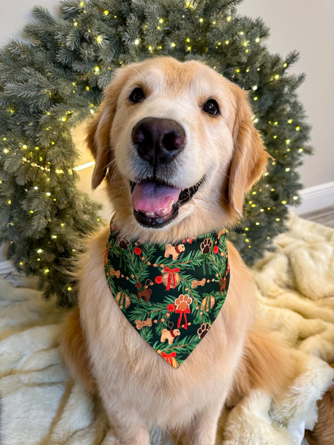 Doggo Ornaments Bandana