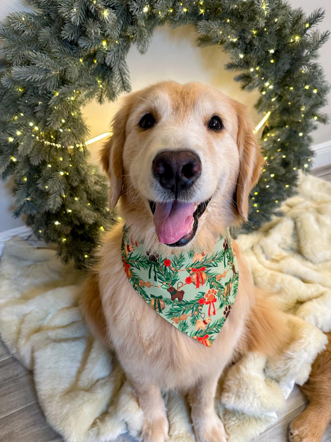 Doggo Ornaments Bandana